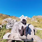 公寓 Schwarzguetl 巴特霍夫加施泰因