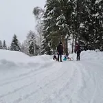 公寓 Schwarzguetl 巴特霍夫加施泰因