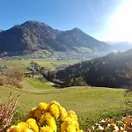 Schwarzguetl 公寓 巴特霍夫加施泰因