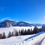 Schwarzguetl *