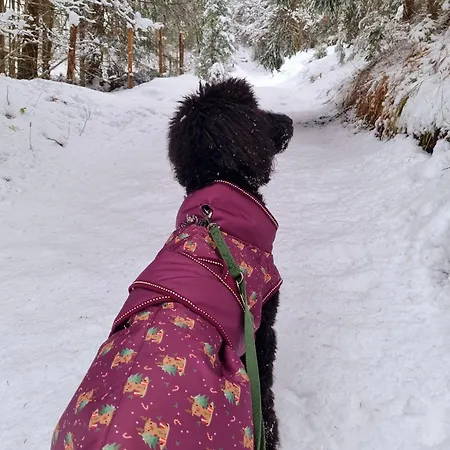 Schwarzguetl * Bad Hofgastein