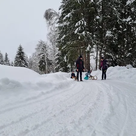 Apartmán Schwarzguetl Bad Hofgastein