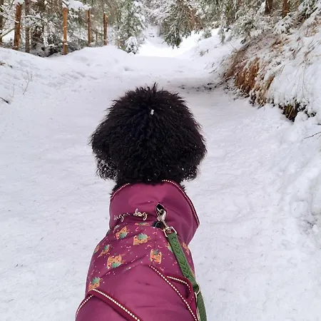 Apartmán Schwarzguetl *